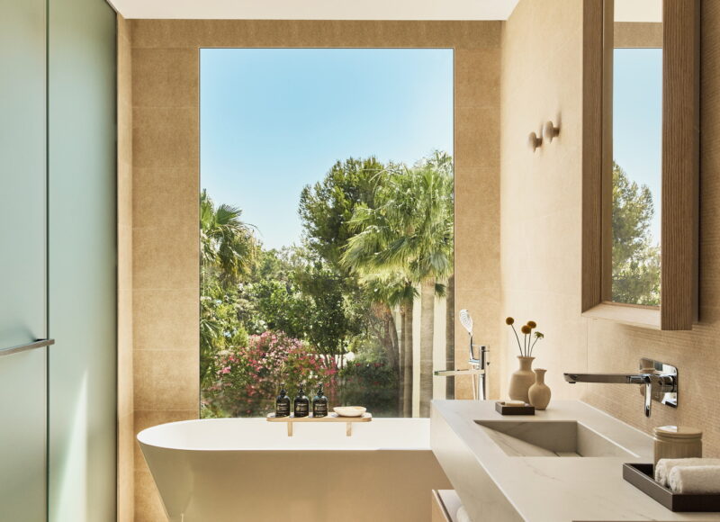 Deluxe One Bedroom Penthouse Suite