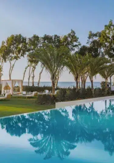 Adults Pool