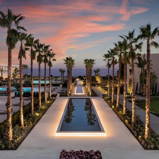 Ikos-Andalusia-_-Palm-Lake-Boulevard-Close-Up-Sunset_2880x1973-scaled.jpg